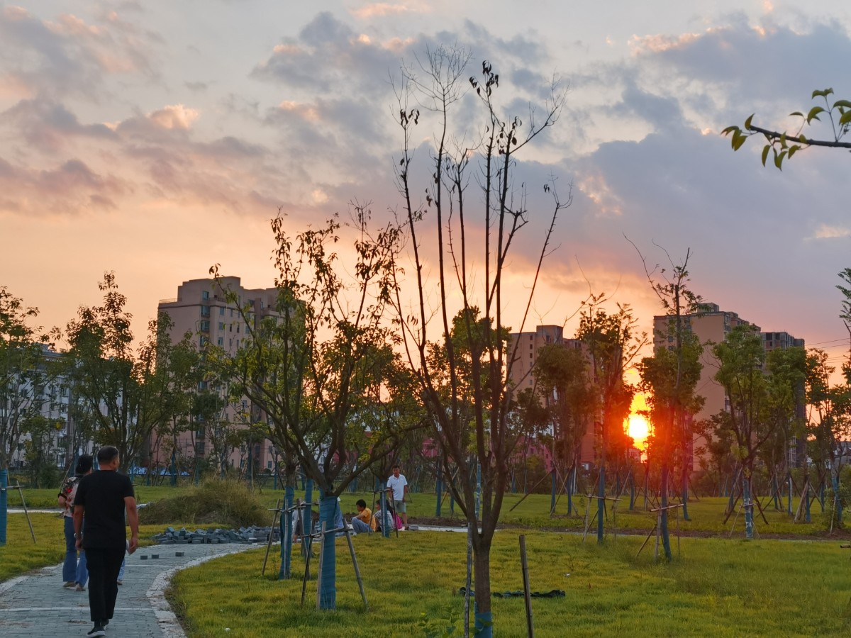 IMG_20210920_175656.jpg IMG_20210920_175656.jpg