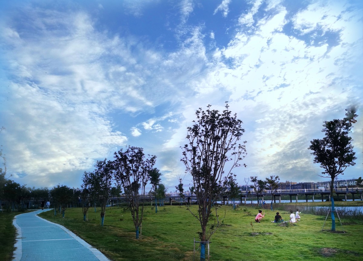 IMG_20210924_181530_edit_18979089897103-01.jpeg IMG_20210924_181530_edit_18979089897103-01.jpeg