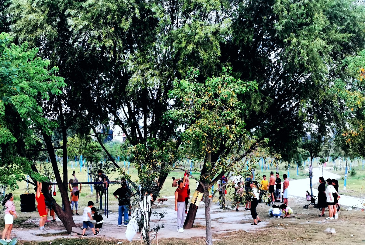 IMG_20210925_181234_edit_104500988694991.jpg IMG_20210925_181234_edit_104500988694991.jpg