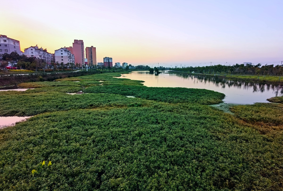 IMG_20210913_181436_edit_61781685894739.jpg IMG_20210913_181436_edit_61781685894739.jpg