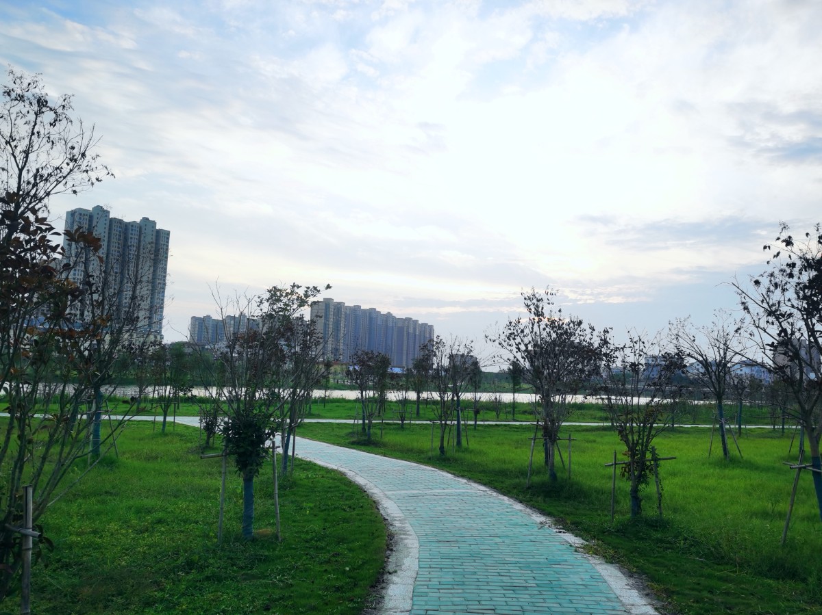 IMG_20210924_174545_edit_108924343713066.jpg IMG_20210924_174545_edit_108924343713066.jpg