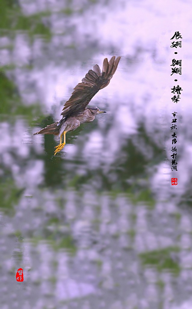 IMG_9276-1 - 副本 - 副本_調(diào)整大小.jpg