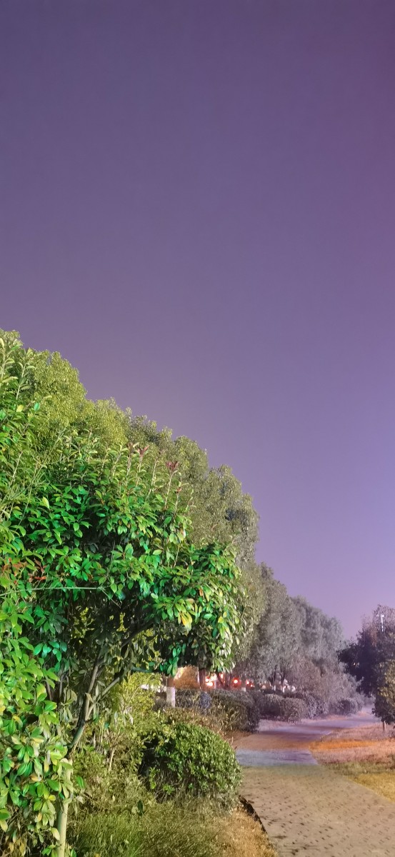 IMG_20220110_181644.jpg IMG_20220110_181644.jpg