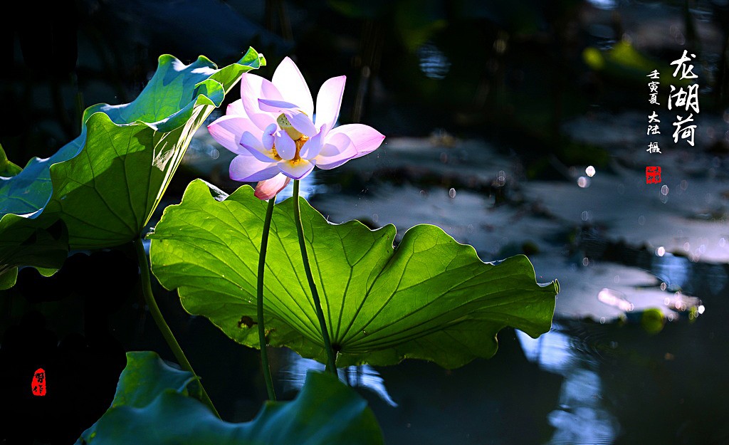 IMG_1272-0 - 副本_調(diào)整大小.jpg