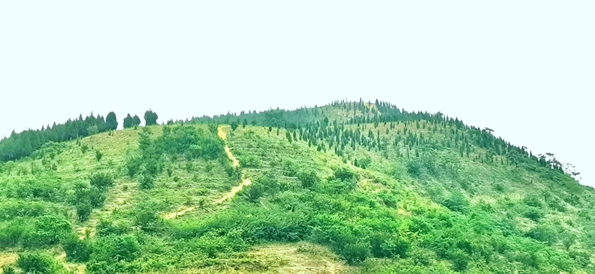 微信圖片_202207011009296.jpg 微信圖片_202207011009296.jpg