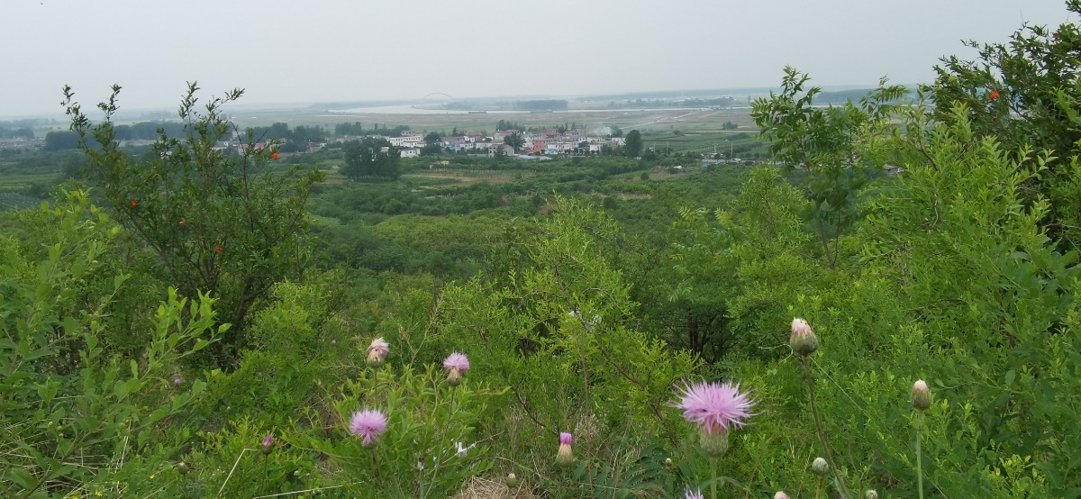 微信圖片_202207011009298.jpg 微信圖片_202207011009298.jpg