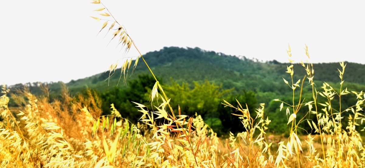 微信圖片_202207011009294.jpg 微信圖片_202207011009294.jpg