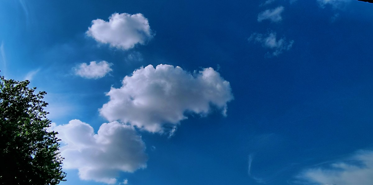 微信圖片_202206280644072.jpg 微信圖片_202206280644072.jpg