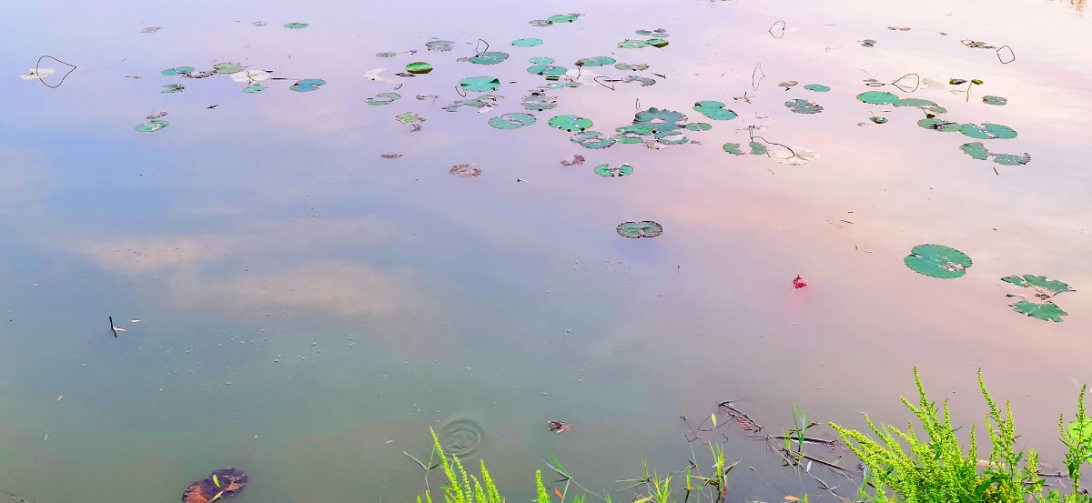 微信圖片_202206121424282.jpg 微信圖片_202206121424282.jpg