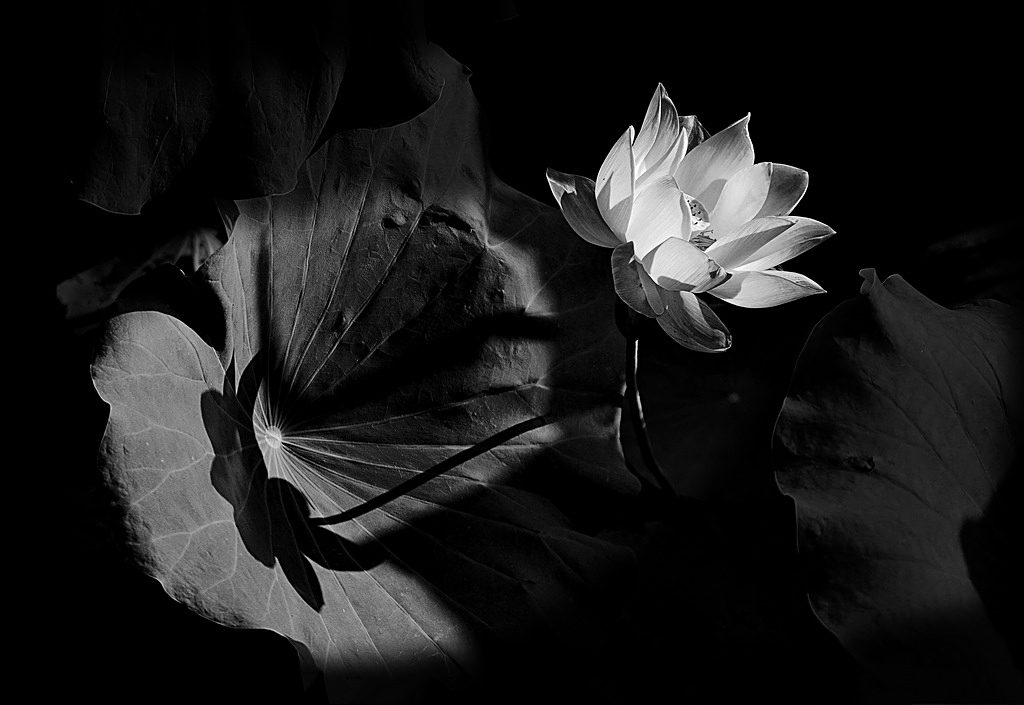 1IMG_5183 - 副本-0 - 副本_調(diào)整大小.jpg