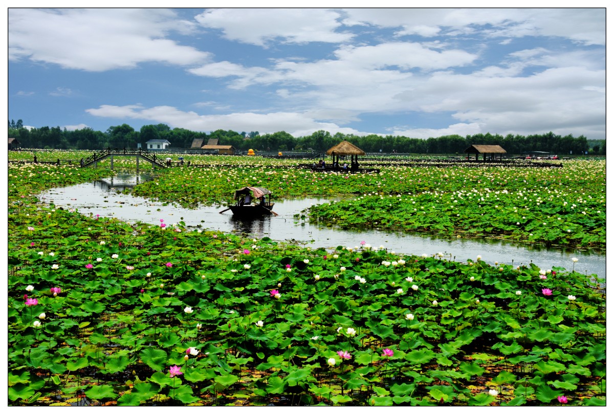船在畫中游  沈道銀攝18096432751.jpg