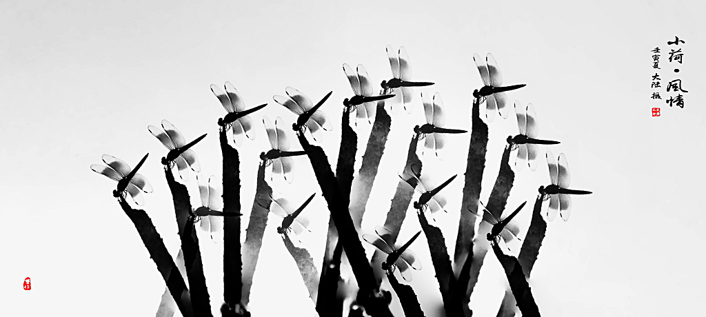 01IMG_7999-0-00 - 副本-0 - 副本_調整大小.jpg