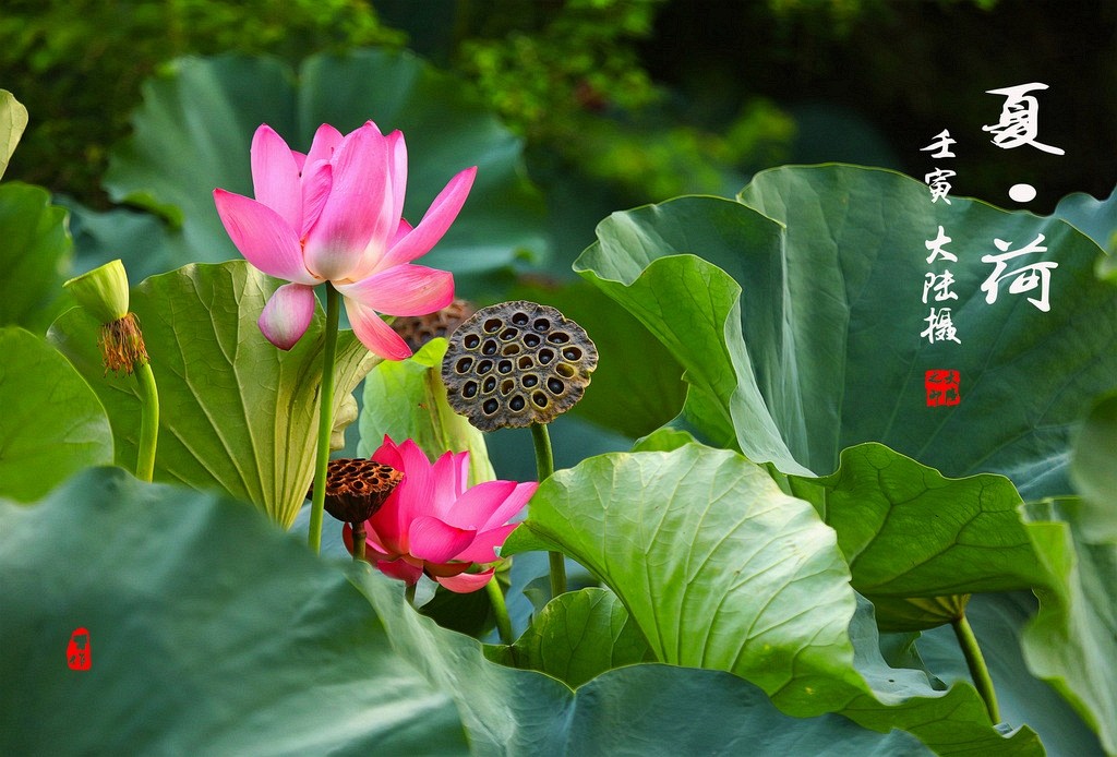 IMG_0004-0-1 - 副本_調整大小.jpg