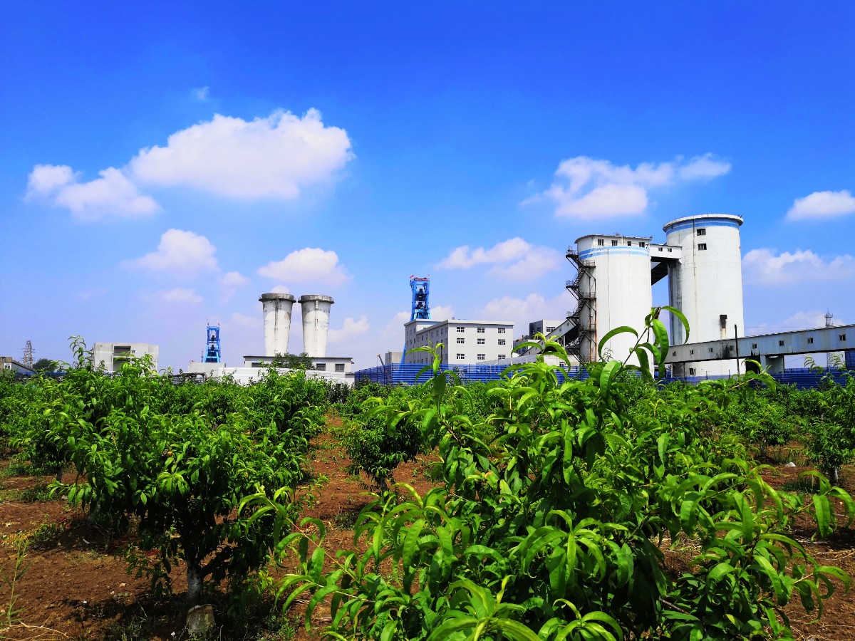 昔日矸石山 今朝桃花園 沈道銀攝18096432751張集煤礦矸石山覆土綠化生態環境修復與治理項目.jpg