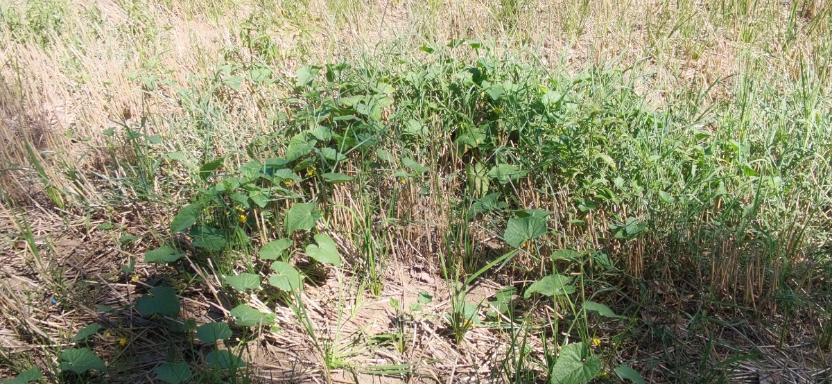 微信圖片_202208271543138.jpg 微信圖片_202208271543138.jpg