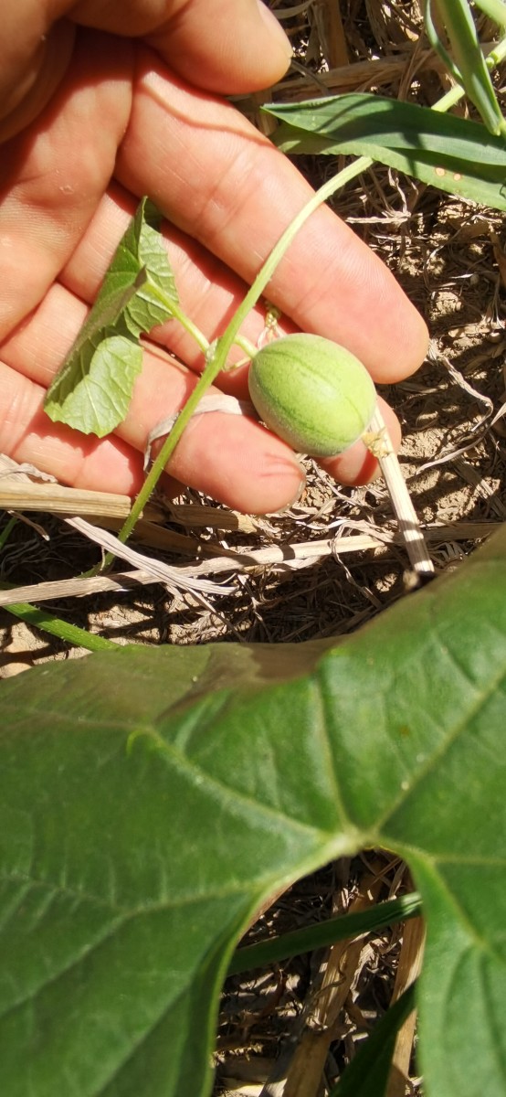 微信圖片_202208271543139.jpg 微信圖片_202208271543139.jpg