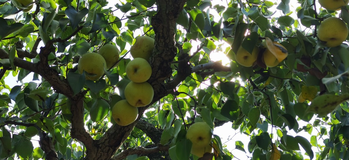 微信圖片_202208271543137.jpg 微信圖片_202208271543137.jpg