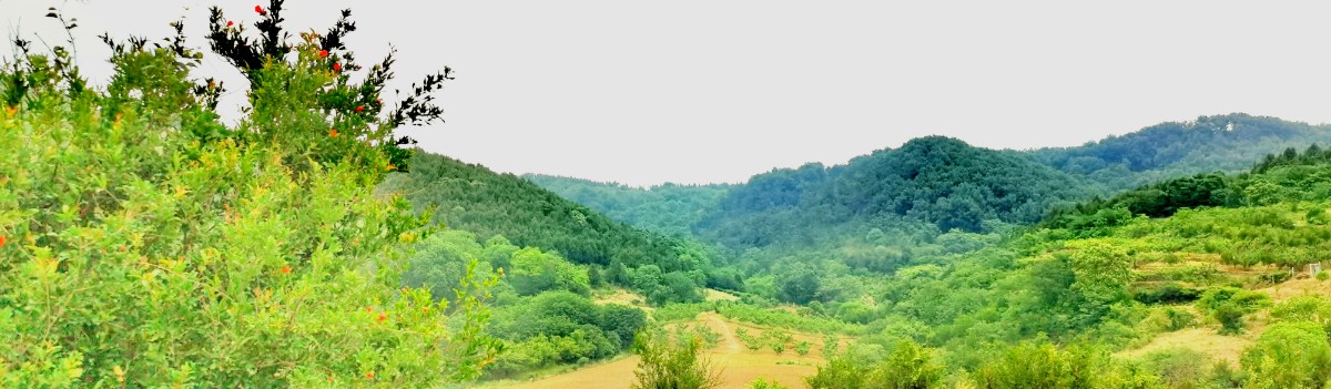 微信圖片_202205151454451.jpg 微信圖片_202205151454451.jpg