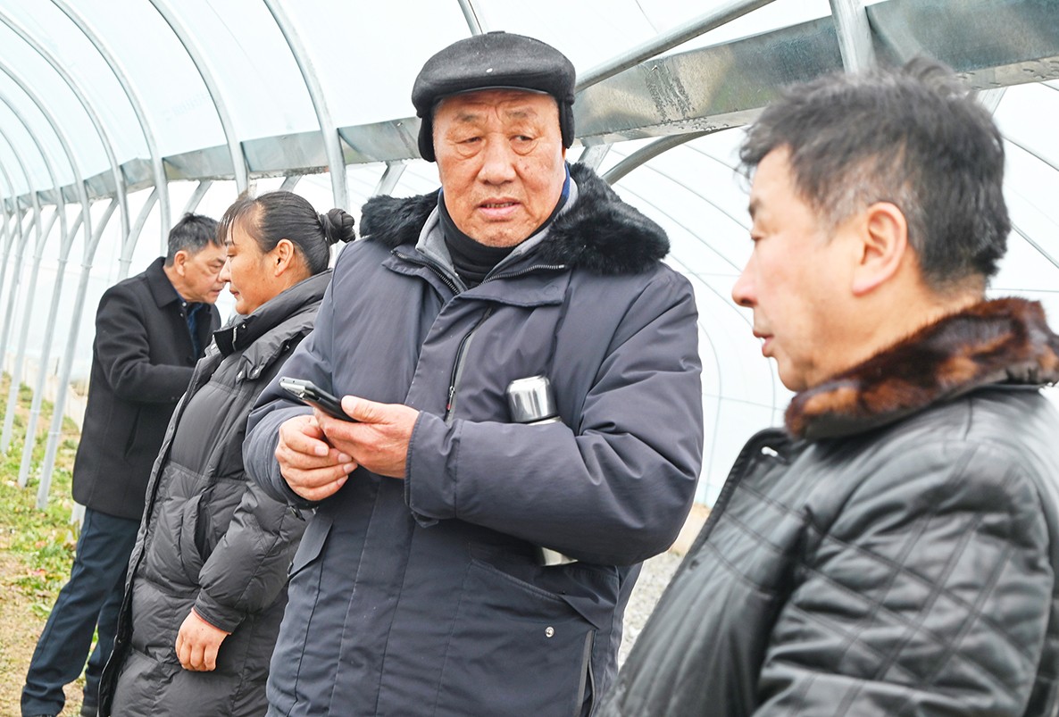 DSC_6482_副本.jpg