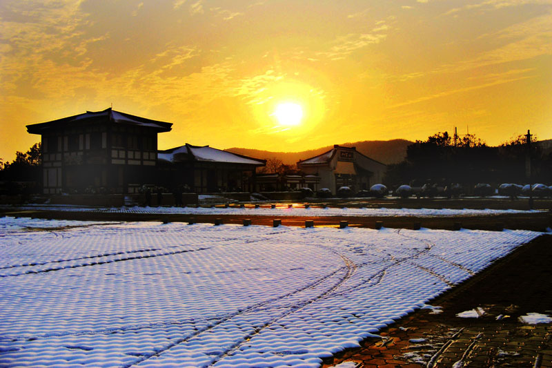 八公靜石的作品