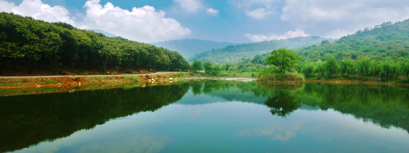 八公靜石的作品