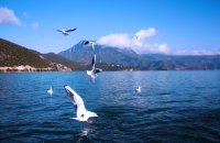 云南瀘沽湖風(fēng)光