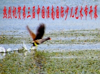 第三屆中國淮南國際少兒藝術節開幕