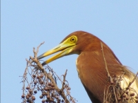 獻給第三屆中國淮南國際少兒藝術節(jié)