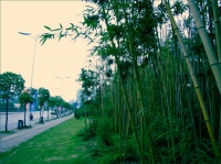 攝影學習日記2011-08-24