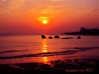 只是近黃昏，夕陽無限好