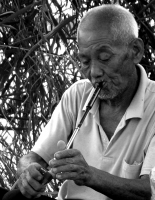 焦崗湖老農(nóng)