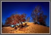 壩上風(fēng)光—之一