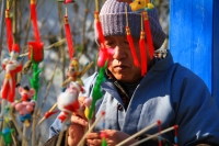 膠泥賈和他的動物們