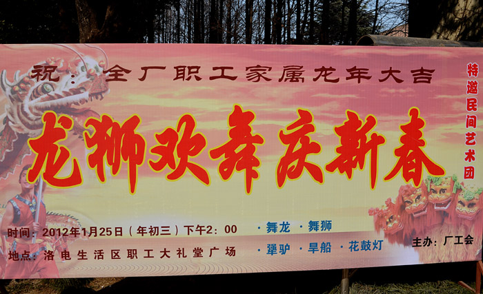 龍獅歡舞慶新年