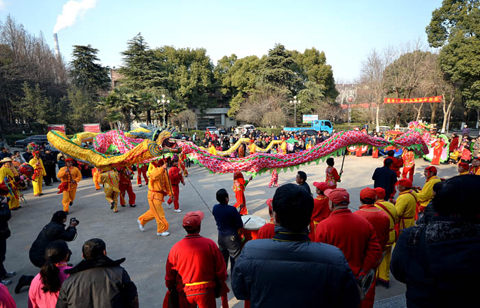 龍獅歡舞慶新年