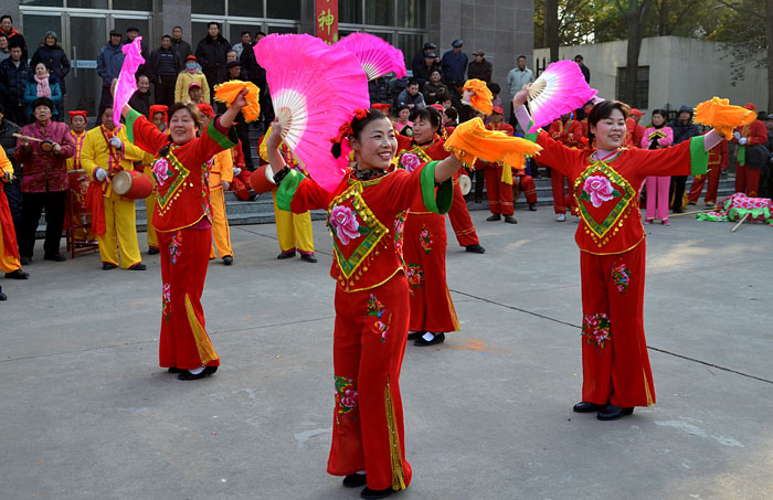 龍獅歡舞慶新年
