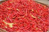 逛市場，迎新年