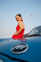 汽車嘉年華小兔