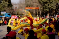 龍騰獅舞鬧新春