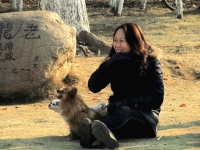 草地、女人和狗