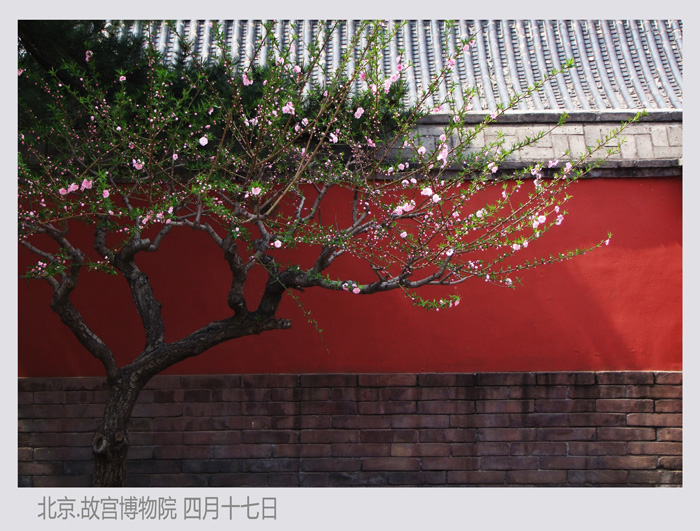 人間四月芳菲盛