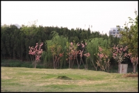 風光小品（四）