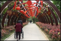 春至龍湖（一）