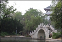 春至龍湖（五）