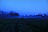 田園風(fēng)光（四）