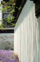 山寺前的二月蘭