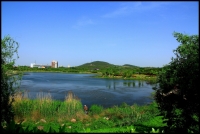 泉山湖掠影（一）