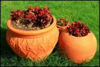 泉山湖掠影（二）