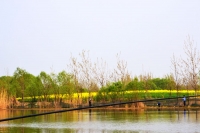 春風愜意.垂釣忙