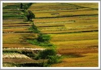 [淮河岸邊大河灣]